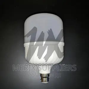 Super Bright High Power LED Light Bulb – 30 Watts (30W AC)