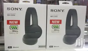 Sony WH-CH510