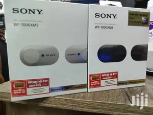 Sony WF-1000XM3 Wireless Earbuds