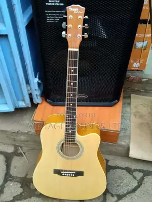 Semi Acoustic Guitar