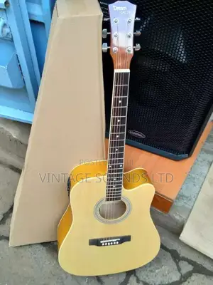 Semi Acoustic Box Guitar