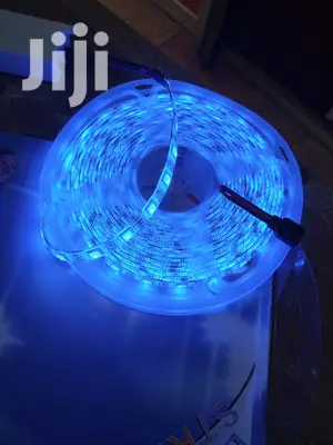 Snake Light