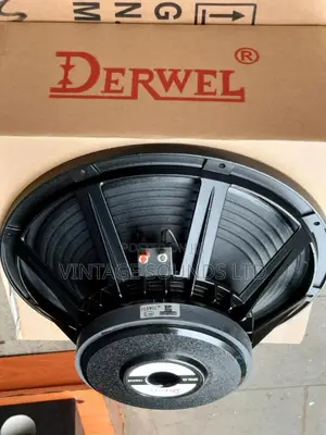 Derwel 15 Inches Long Range Speaker