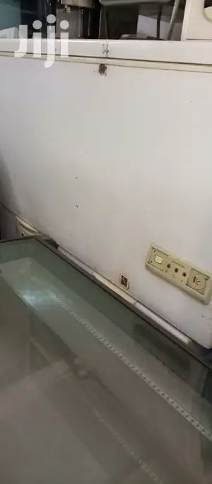 450L Deep Freezer