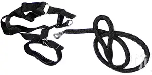 Dog Leash, Harness And Collar Set
