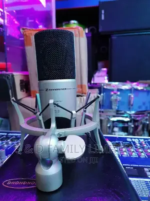 Sennheiser MK4 Condenser Microphone.