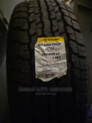285/60 R 18 Dunlop At22 Grandtrek Tyres From Japan
