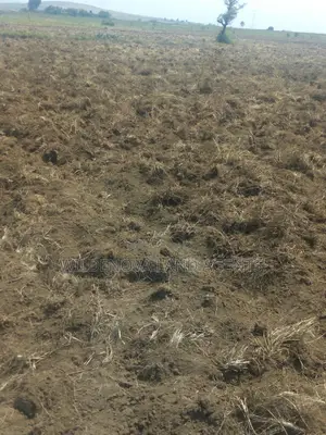 2 Acre on Sale at Munyu Naivasha