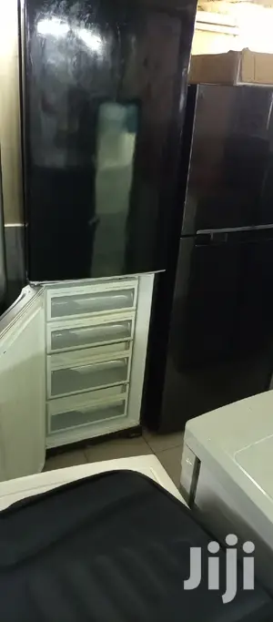 Big Frost Free Fridge