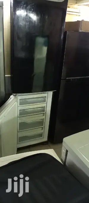 Big Frost Free Fridge