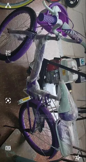 Speed King Bicycle