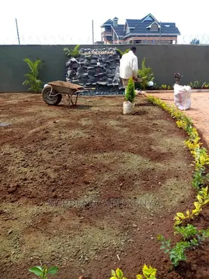 Landscaping And Gardening