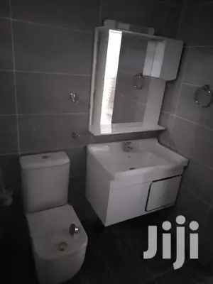 Professional Plumbing Work