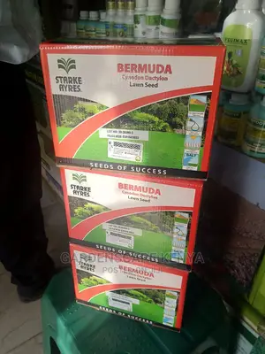 Bermuda Grass Seeds.