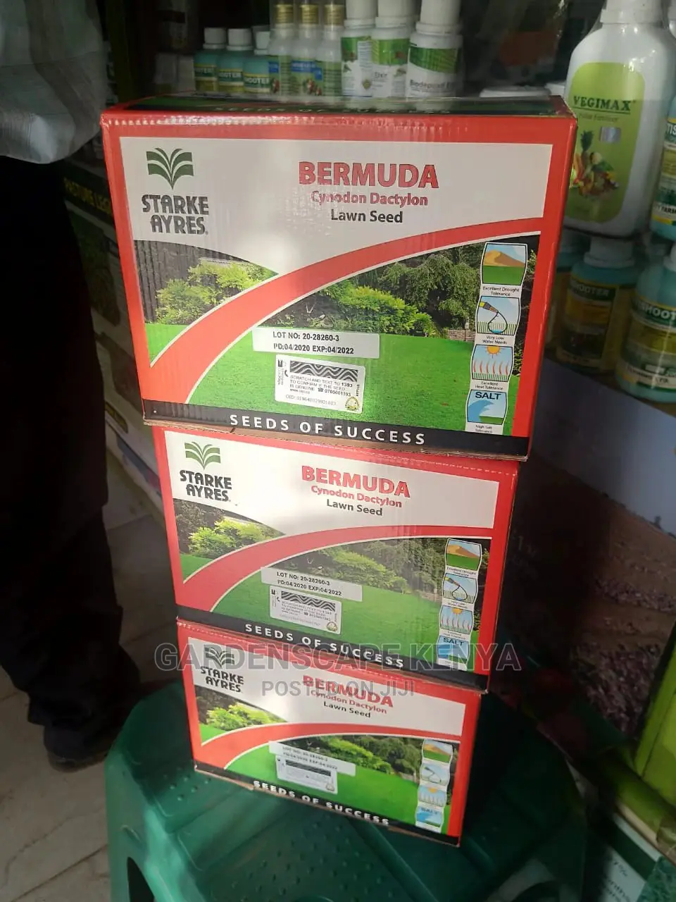 Bermuda Grass Seeds.