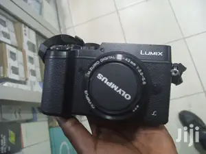 Panasonic Lumix Gx8 Mirrorless Camera