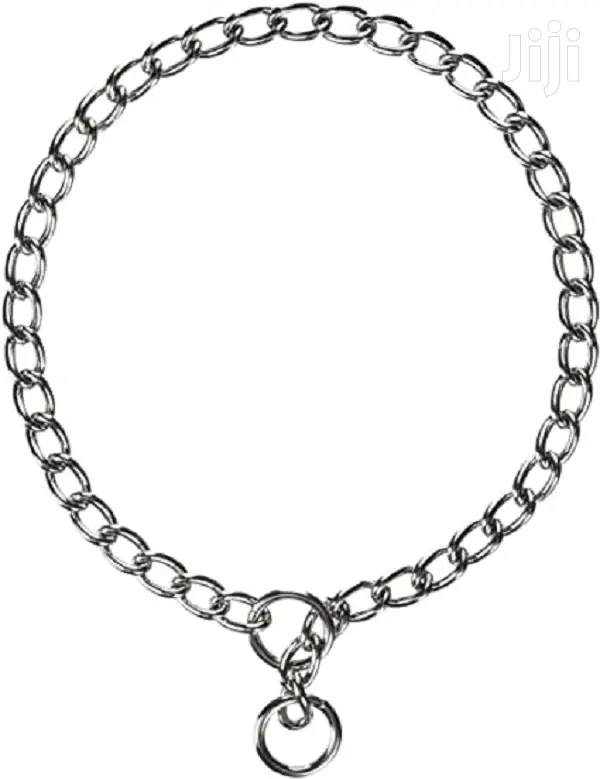 Dog Choke Chain