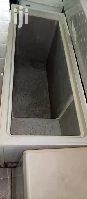 Big Deep Freezer