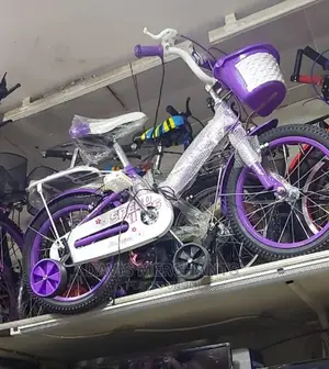 Speed King Bike Size 20