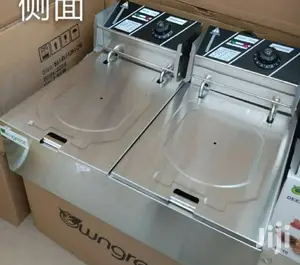 Portable Double Fryer