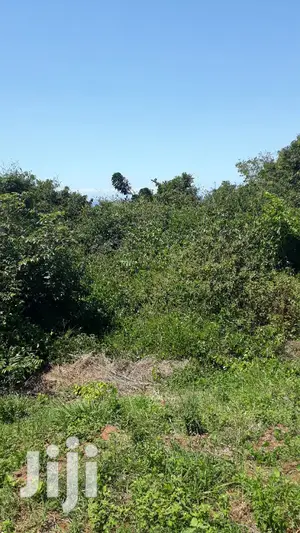 For Sale 1 Acre Plot Vipingo Ridge
