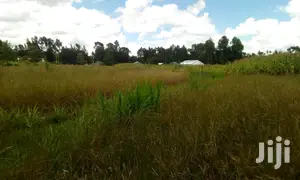 Oljoroorok Plots for Sale