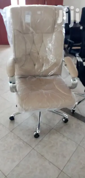 Exclusive Office Chair