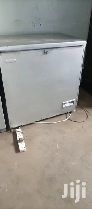 Deep Freezer 250L