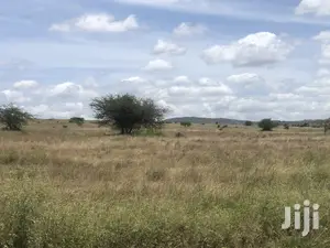 32acres Kinanie