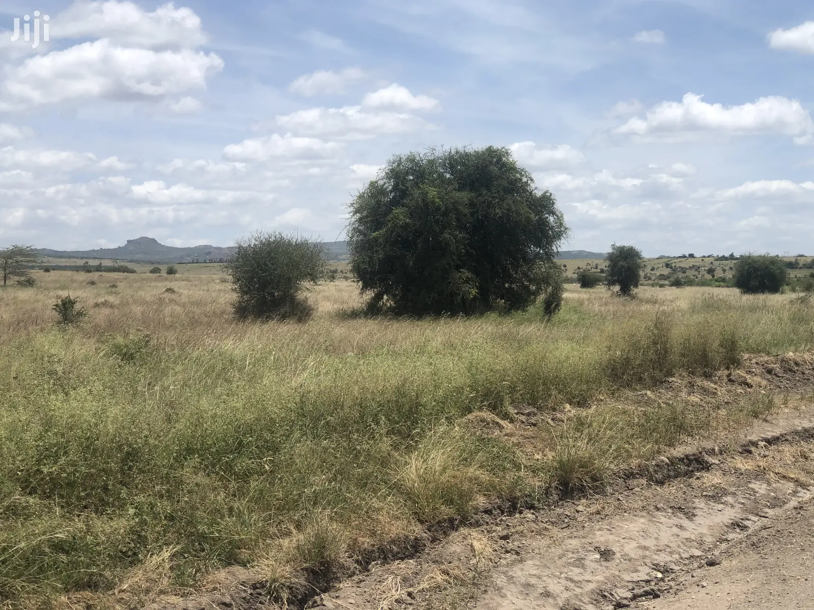 32acres Kinanie