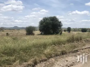 32acres Kinanie