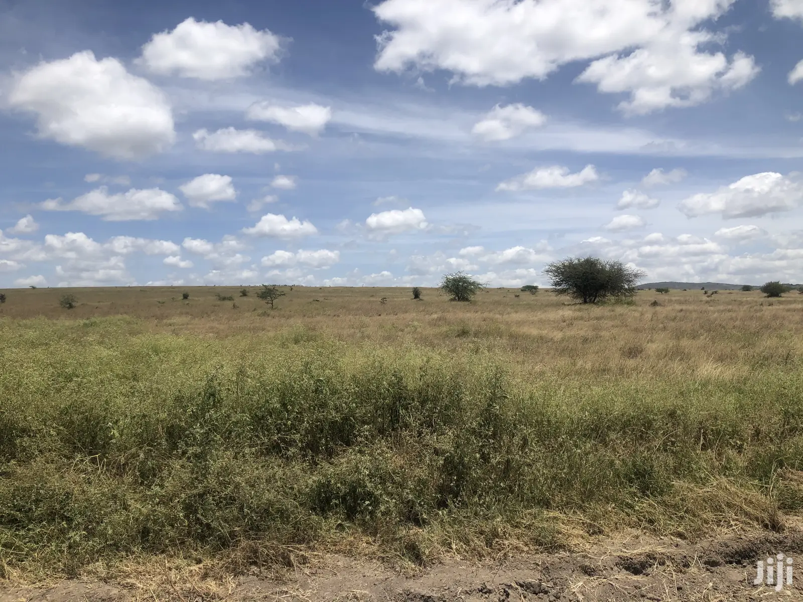 32acres Kinanie