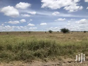 32acres Kinanie