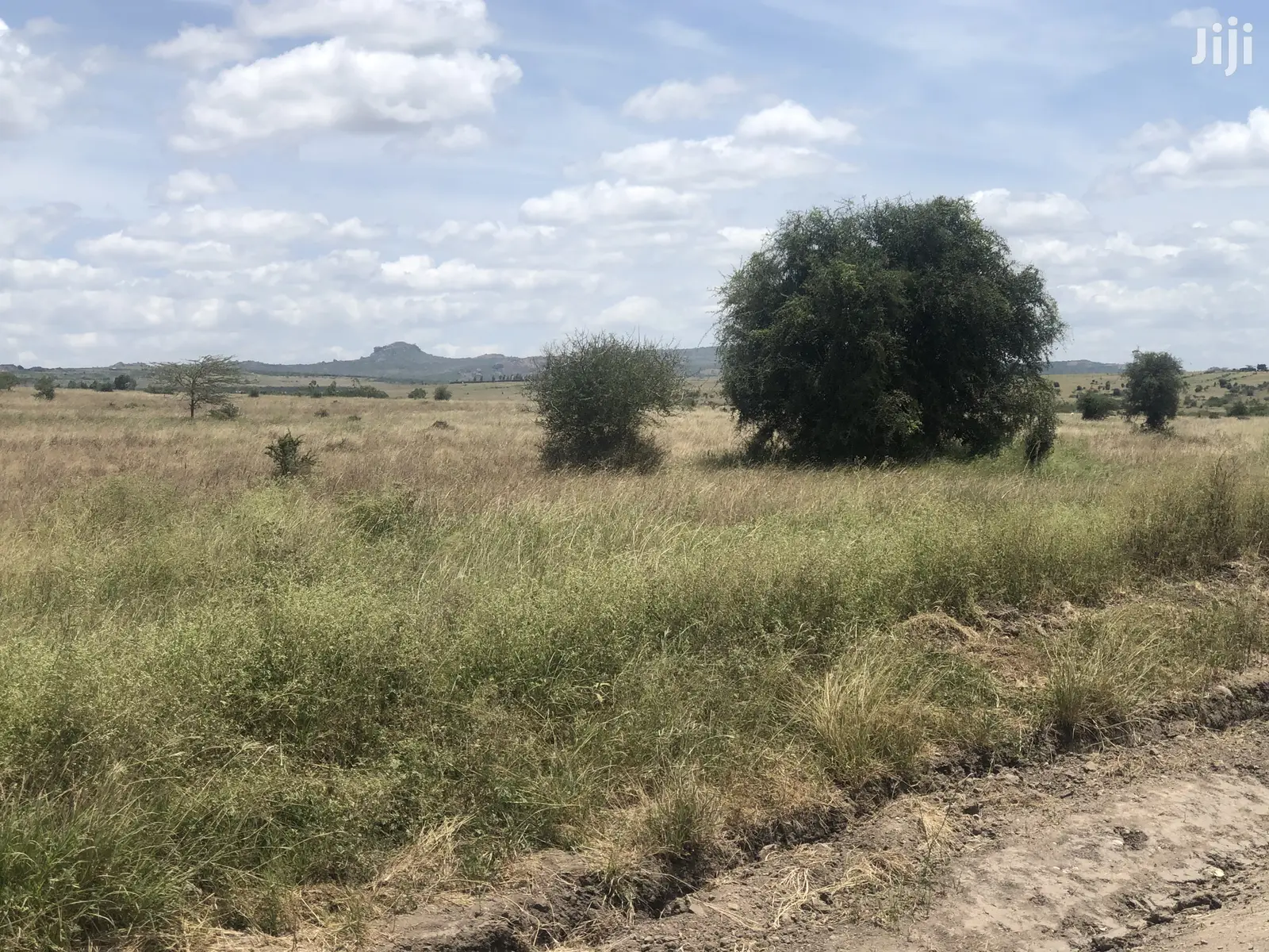 32acres Kinanie