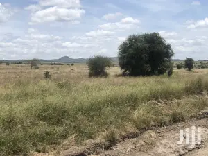 32acres Kinanie