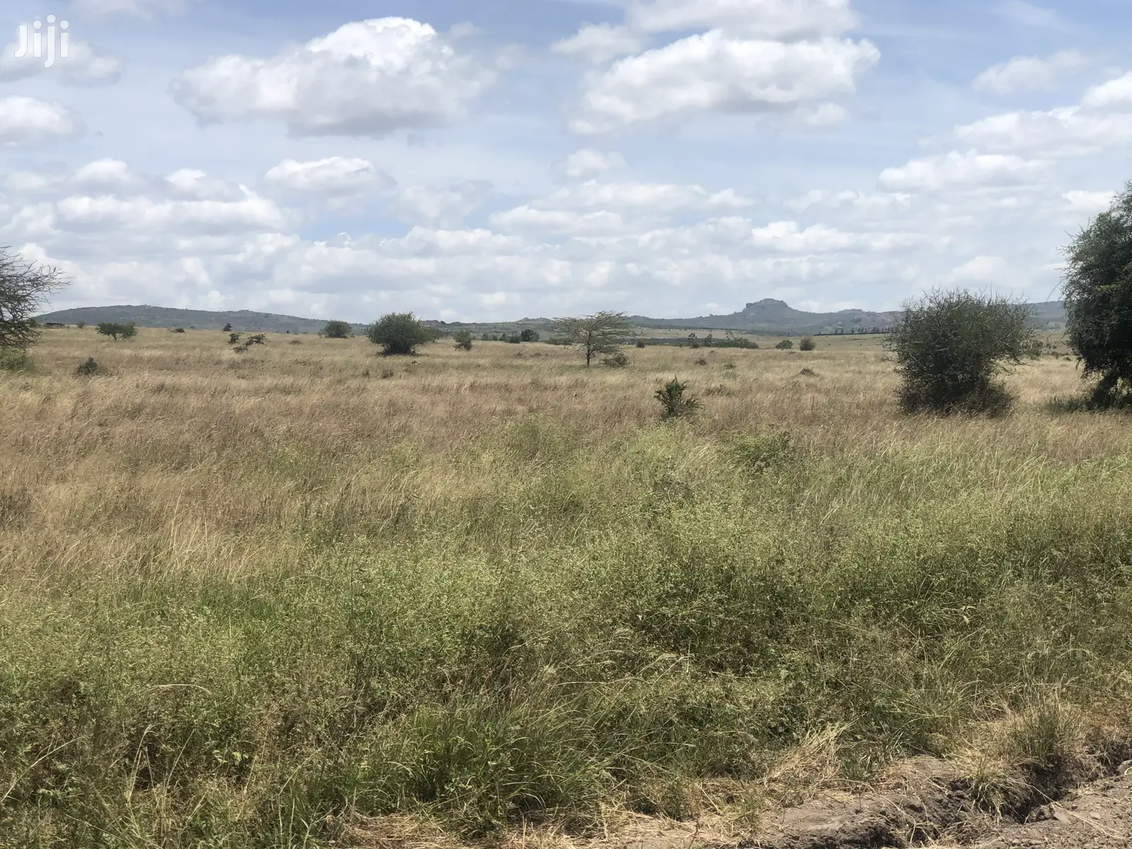 32acres Kinanie