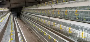Poultry Chicken Cage