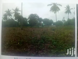 6 Acres on Sale in Chumani