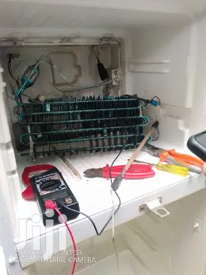 Fridge Repair and Gas