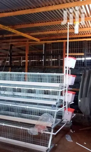 Poultry Birds Cage