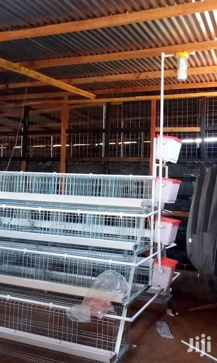 Poultry Birds Cage