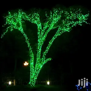 LED Green Fairy Lights With 8 Functions