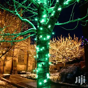 LED Green Fairy Lights With 8 Functions