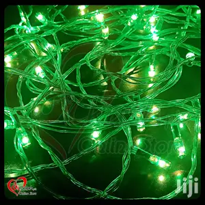 LED Green Fairy Lights With 8 Functions