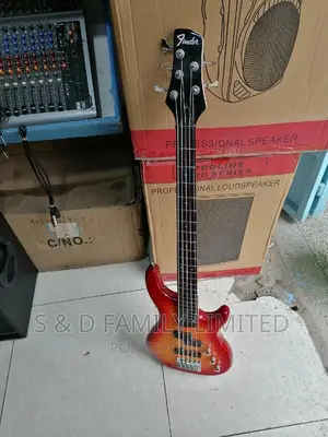 Fender 5 String Bass Guitar