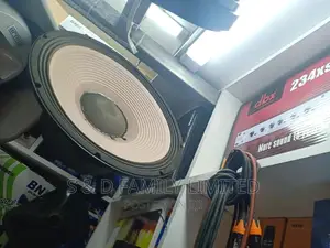 JBL 15 Inch Double Coil Naked Speaker