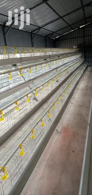 Layers Poultry Cage