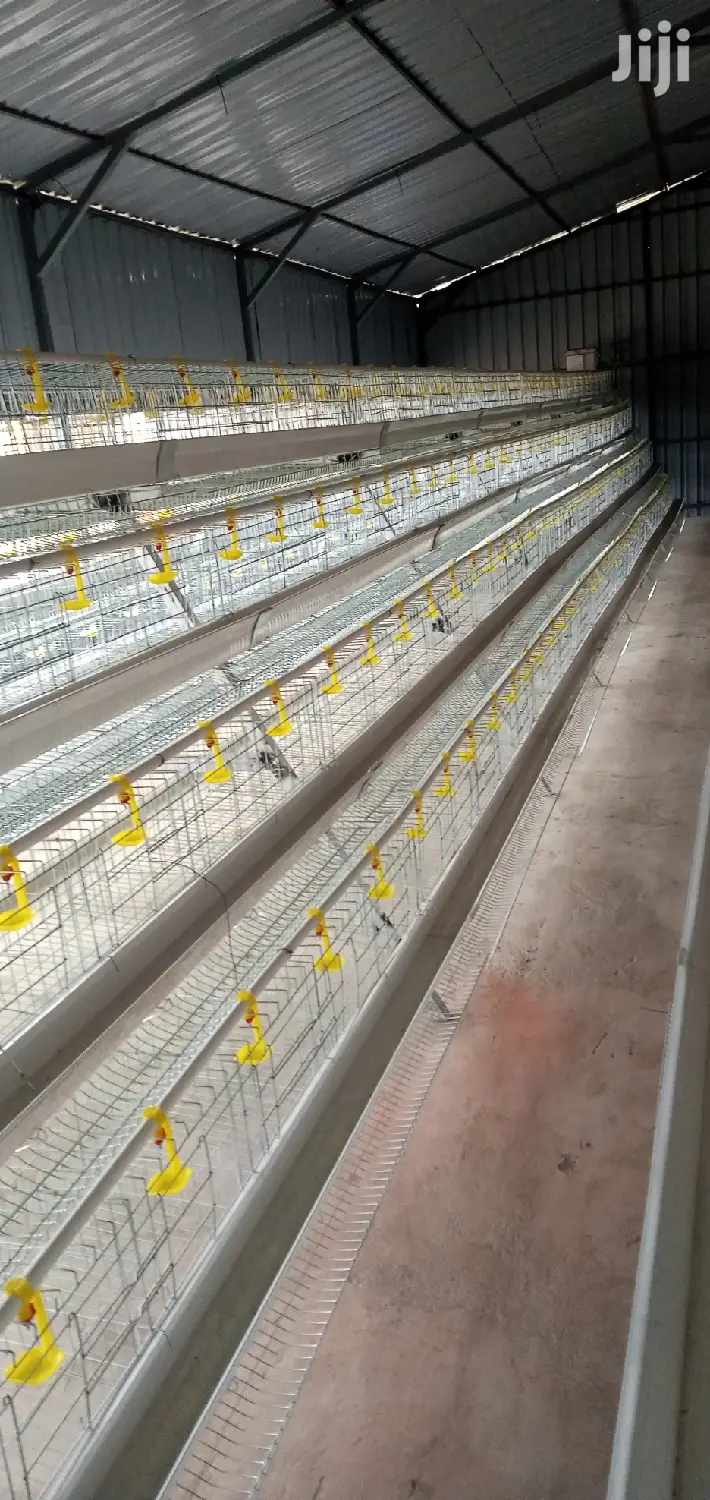 Layers Poultry Cage