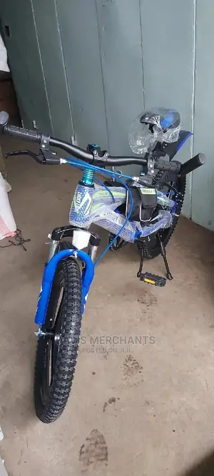 Lucky Light Size 20 With Front And Rear Disc Brake Systems