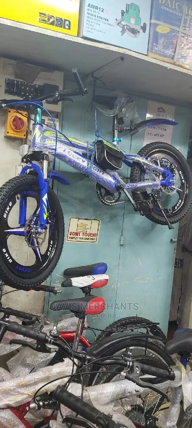 Lucky Light Size 20 With Front And Rear Disc Brake Systems
